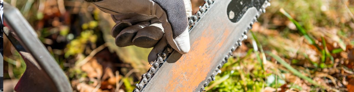 Chainsaw Maintenance: Keep Your Tool Running Smoothly - SeeSii