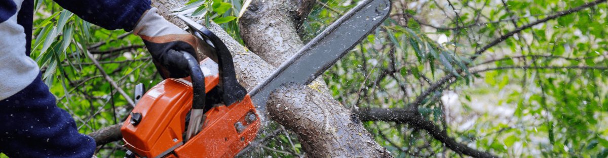 The 9 Best Cordless Pole Saws This Fall - SeeSii