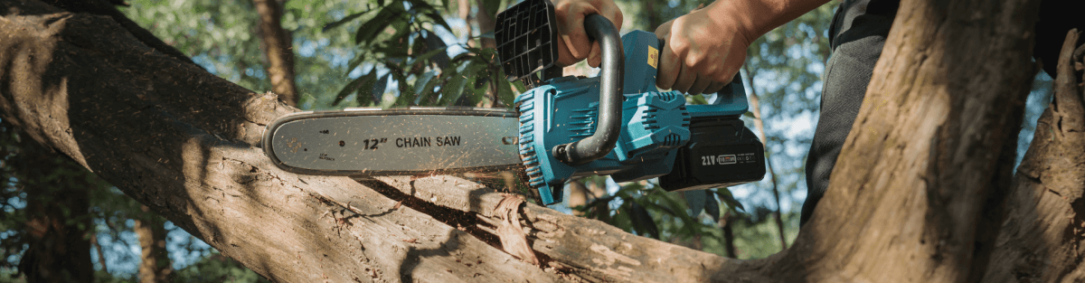 What Are Power Tools for Tree Removal? - SeeSii