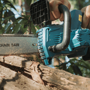 What Are Power Tools for Tree Removal? - SeeSii