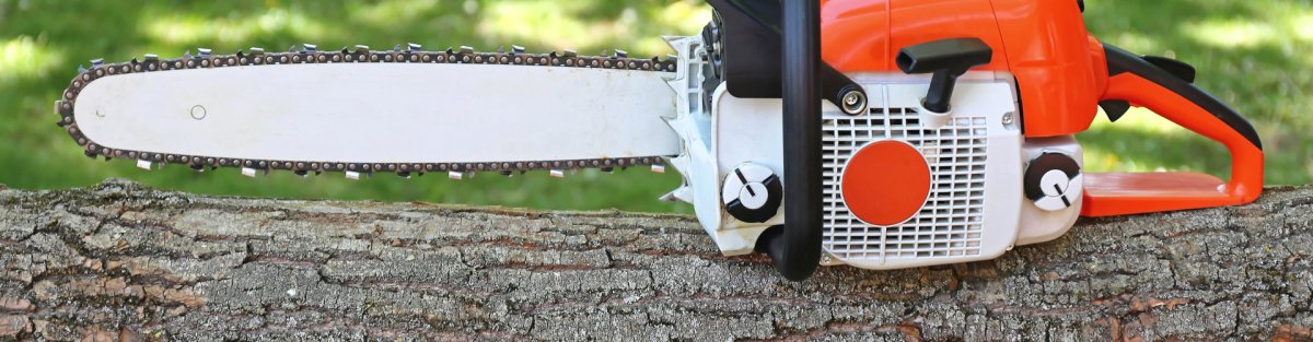 What Size Chainsaw Do I Need:Comprehensive Guide - SeeSii